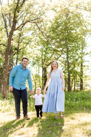 The Lipow Family
