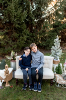 Holiday Minis 2023 - The Fass Family