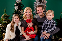 Holiday Minis 2023 - The Martin Family