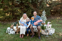 Holiday Minis 2023 - The Wolff Family