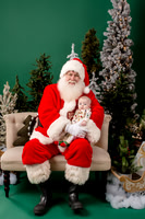 Santa Minis 2023 - The Heinz Family