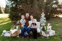 Holiday Minis 2023 - The Nolte Family