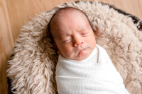 Baby Jordan