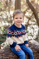 Holiday Minis 2023 - The Phillipi Family