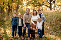 Fall Minis 2025 - The Viken Family