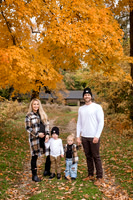 The Beam Family