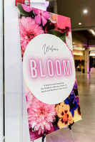 CAC Bloom 2023