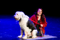 Willows Spring Musical 2026 - Annie