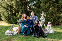 Holiday Minis 2023 - The Nassin Family