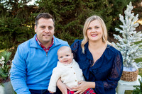 Holiday Minis 2023 - The Santostefano Family