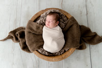 Baby Aris